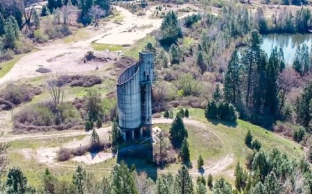 Rise Gold shares bounce on draft EI report for Idaho-Maryland project