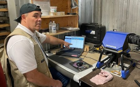 Best Maple Gold assays yet widen target at old Agnico Eagle mine