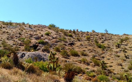 Canex Metals reports new discovery at Gold Range in Arizona