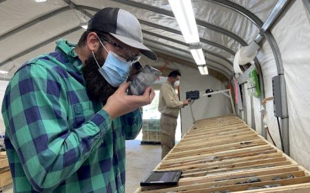 TNM Drill Down: Freegold Ventures reports top gold assay for Jan. 20-27