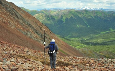 Why Snowline Gold’s Rogue project could ‘change the equation’ for Fort Knox style deposits