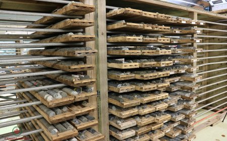 Anglo American invests $24M in Canada Nickel’s Crawford project in Ontario