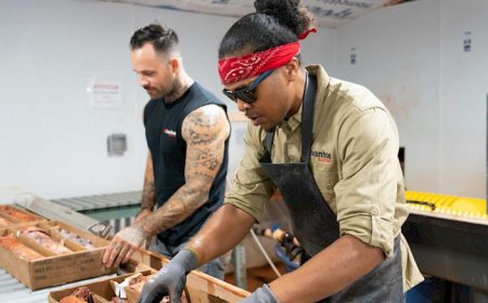 Ivanhoe’s electro-pulse tech may expand Santa Cruz copper project in Arizona