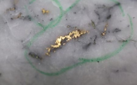 New Found Gold’s Iceberg delivers more high-grade hits