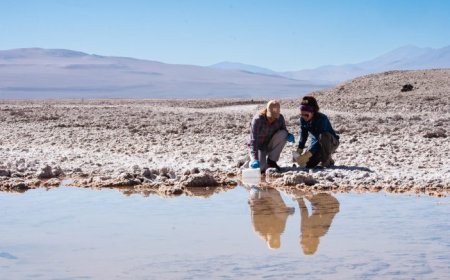 Battery Metals Snapshot: Eight juniors on the hunt