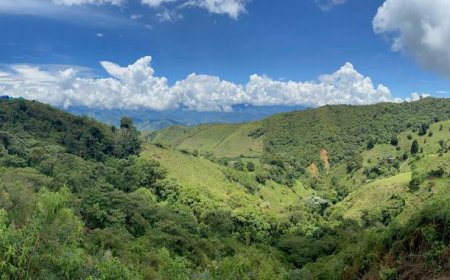 Collective Mining shares rise on new high-grade find at Apollo in Colombia