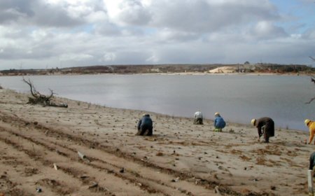 BHP unveils first natural capital accounting results