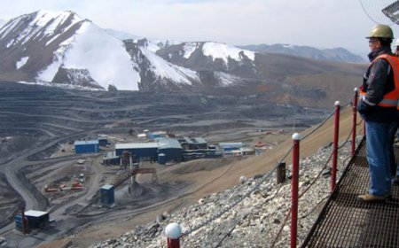 Investors flock to safety on rising risk around the globe