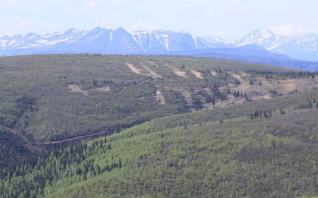 Contango Ore confirms Kinross cost guidance for Manh Choh