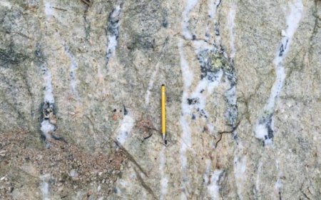 Cerrado Gold issued preliminary licence for Brazil gold project, shares rise