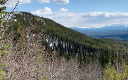Gladiator reports high-grade copper at Cowley Park in Yukon