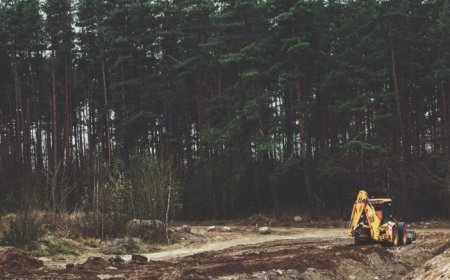 Angus Gold beats historical assays at Golden Sky project in northern Ontario