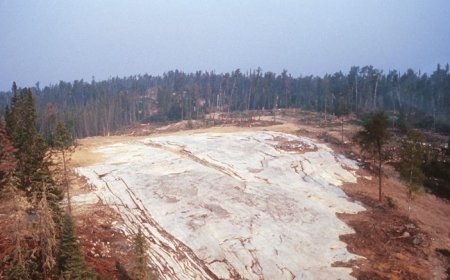 Avalon stock surges on $63M investment, joint venture with Sibelco