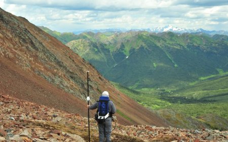 TNM Drill Down: Snowline tops week’s gold assays at Rogue project in Yukon