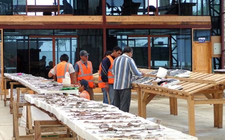 Luminex reaches ‘historic’ agreement with informal miners around Ecuador gold project