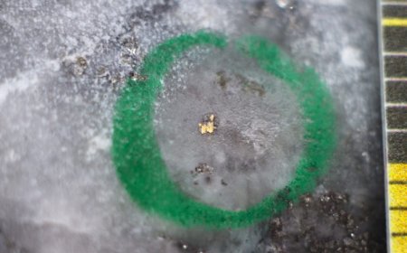 New Found Gold drilling confirms high-grade at recently discovered K2 zone