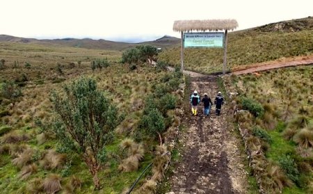 Ecuador court confirms DPM concessions; permits delayed by 12 months