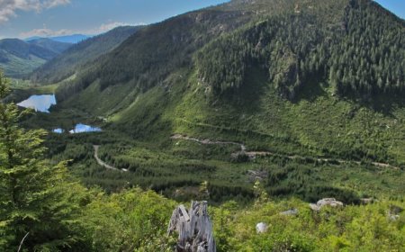 Northisle stock hits highest in a year on near-surface gold hits