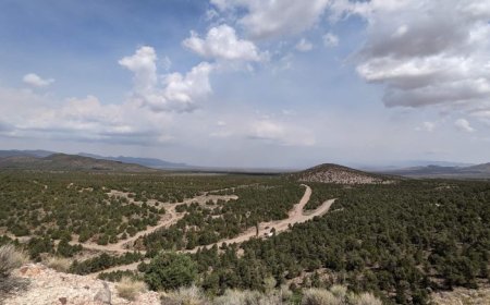 Nevada King Gold stock soars on bonanza grade results from Atlanta project