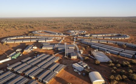 Rinehart closer to blocking Albemarle’s takeover of Liontown