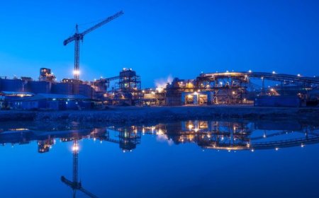 Loulo-Gounkoto to remain among world’s top 10 gold producers: Bristow