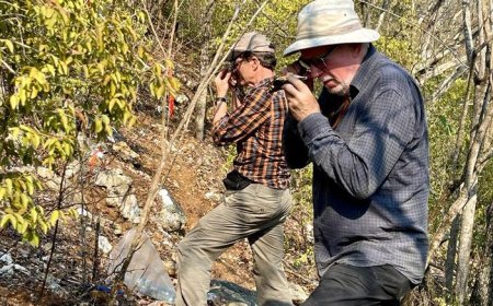 Volcanic Gold rises on Guatemala Mila discovery
