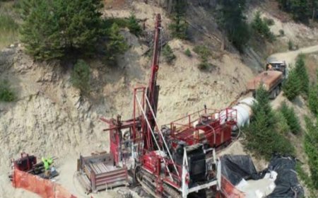 Freeman Gold shares rise on initial PEA for Lemhi project in Idaho
