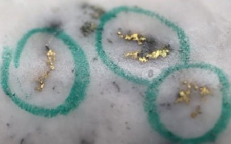 New Found Gold raising $56M to advance Queensway project