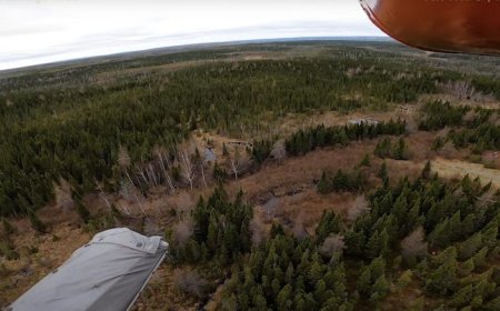 New Found Gold may explore toll mill option for Queensway project