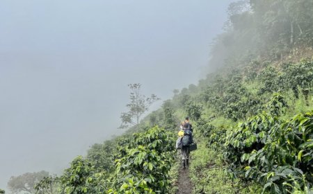 Collective’s Apollo drill program at Guayabales hits grade