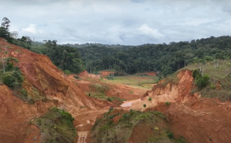 Founders Metals’ high-grade gold hits hint at Guiana Shield bounty
