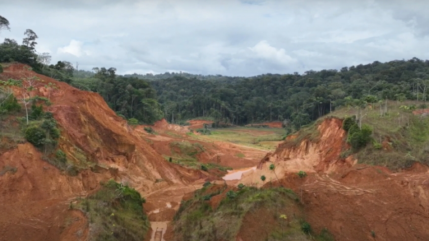 Founders Metals’ high-grade gold hits hint at Guiana Shield bounty