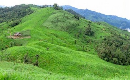 Lumina Gold kicks off feasibility study for Ecuador project