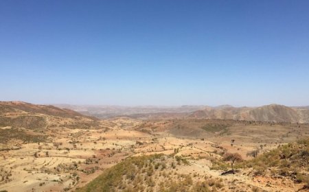 Sun Peak shares rise as it looks to resume exploration in Ethiopia