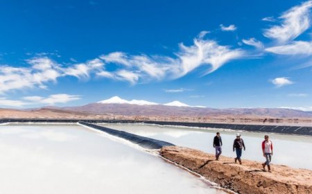 Ganfeng buys 15% slice of Lithium Argentina’s Pastos Grandes