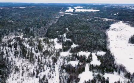More high grades at New Found Gold’s Queensway project in Newfoundland