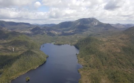 BC court dismisses former CEO’s appeal over environmental violations at Yellow Giant mine