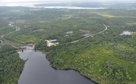 Signal Gold evaluates strategic alternatives for Goldboro project