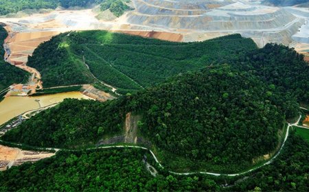 Amman targets higher copper concentrate output in 2024