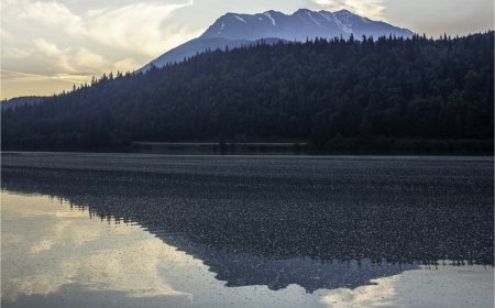 Treasury Metals to buy Giustra-backed Blackwolf Copper and Gold