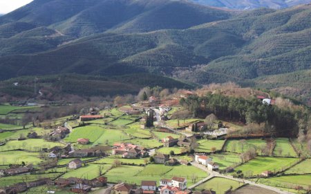 Savannah could request compulsory land acquisitions for Portuguese lithium project