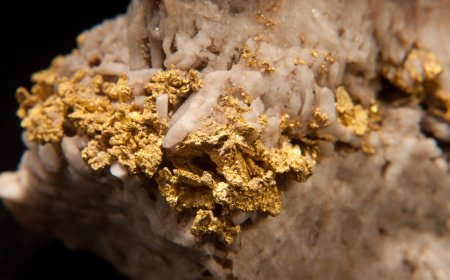Karbonate Minerals Corp. Intersects High-Grade Gold Vein at Antofagasta Project, Chile