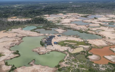 Record gold and copper prices are also a boon for illegal mining in Peru