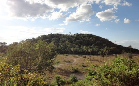 Aura buys two projects near Matupá gold property in Brazil