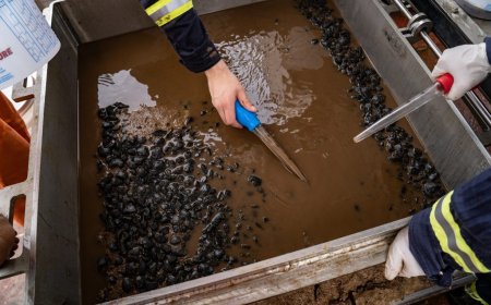 Deep-sea nickel hits battery grade for The Metals Co.