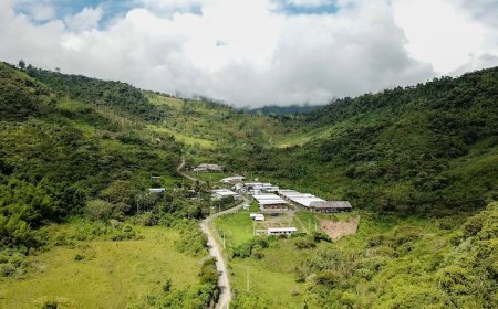SolGold sets Cascabel project milestones to reach by year-end