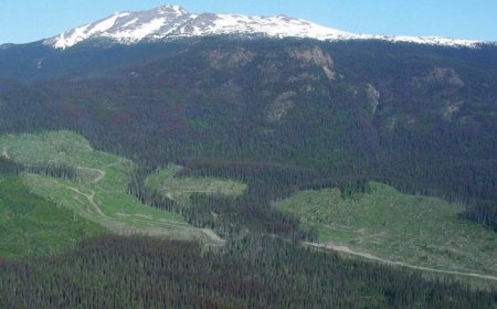 British Columbia backs FPX Nickel’s Baptiste project in critical minerals push