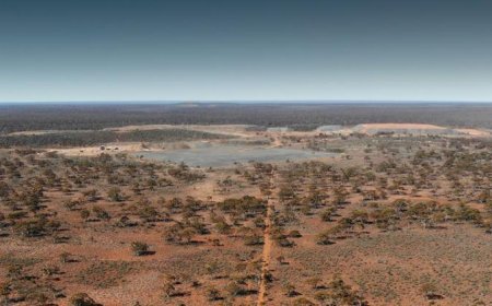 Alchemy Resources signs lithium partnership with Japan’s JOGMEC