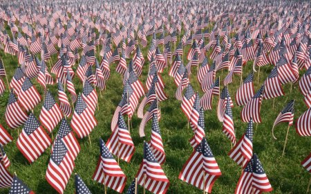 Mining stocks may drop 20% if US tariffs imposed – JPMorgan