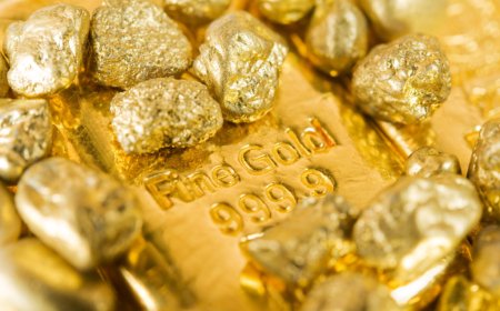 Economic growth the main driver of long-term gold price, WGC research suggests